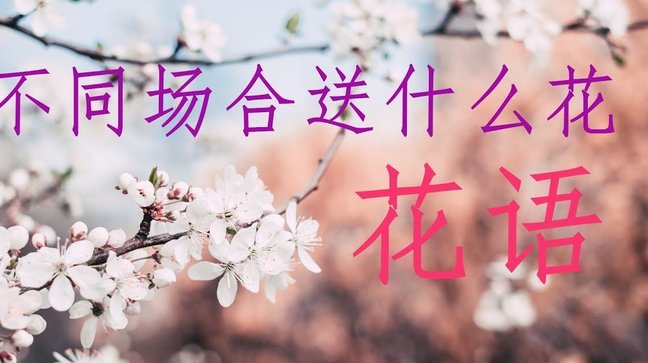 花呗合法关闭指南