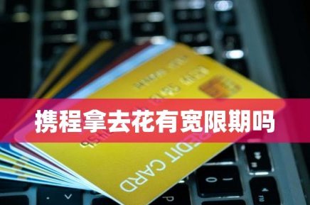 携程“拿去花”：现金商户深度解析