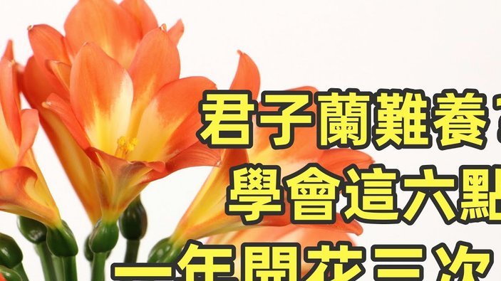 套花呗的隐患：债务与信用的双重风险
