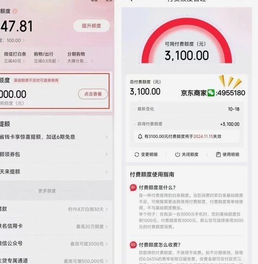 商家如何高效获取并管理白条额度