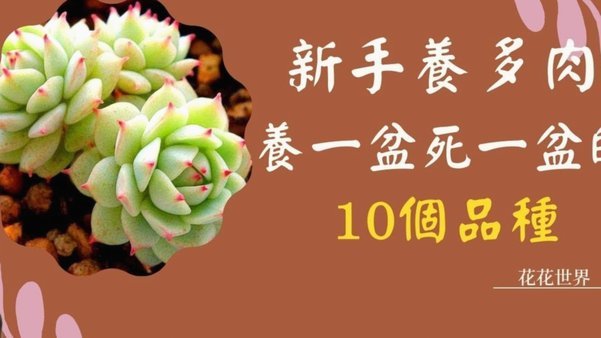 “拿去花”提现难？这样做轻松套出来