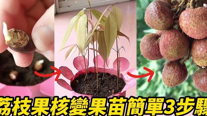 便荔卡包：16000元透支额度详解