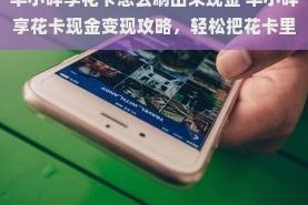 羊小咩放款为何会延迟
