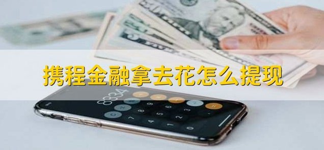 携程网拿去花怎么用不了