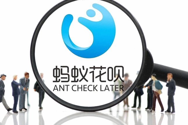 智能便捷的海鸥花呗金融服务平台