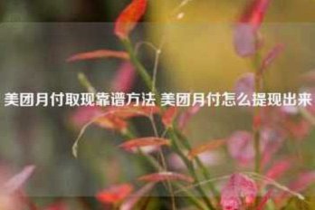 美团月付取现金