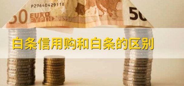 哪些平台支持白条支付