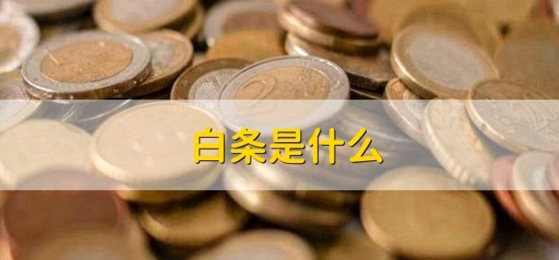 白条哪个平台能用