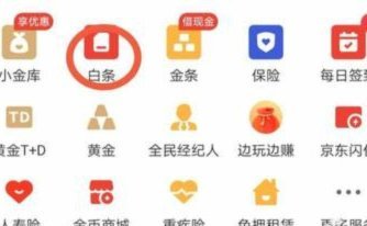 白条如何借现金