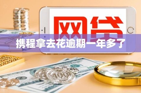携程拿去花套现：手续费多少？风险几何？