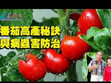 携程拿去花取现处理中多久到账