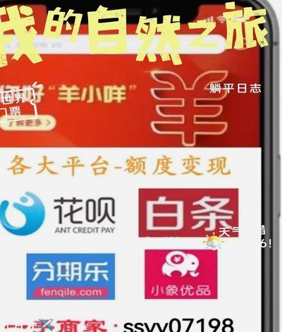 羊小咩额度怎么套