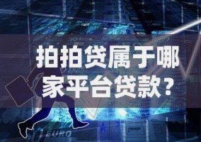拍拍贷的产品类型