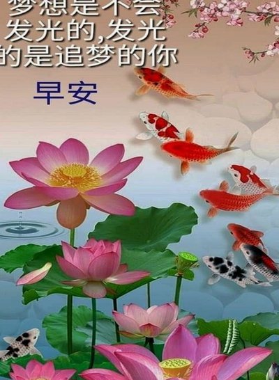 海鸥花呗下载技术解析