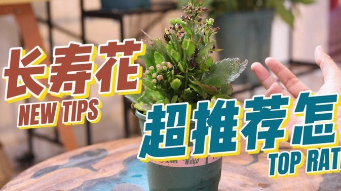 套现回收背后的商家博弈