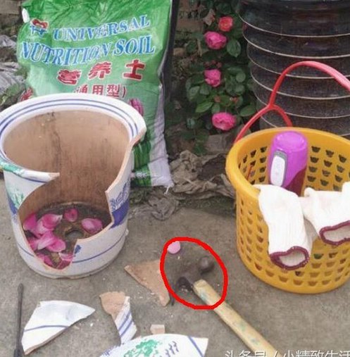 不小心用了拿去花怎么办