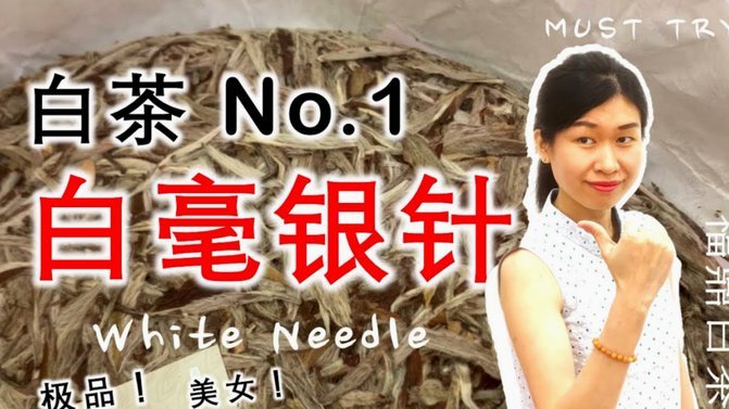 怎么知道自己的白条是否能用