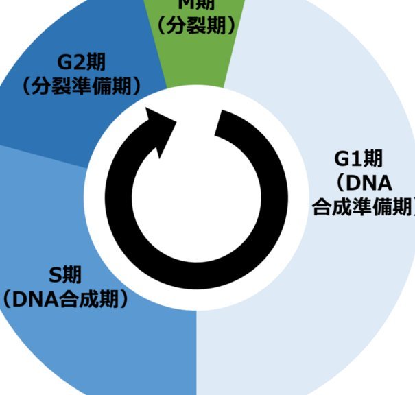 分期乐余额积分变现方法