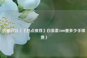白条秒到手续费怎么算