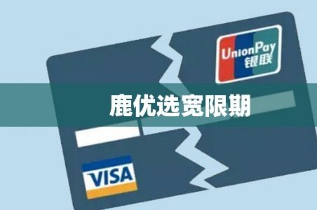鹿优选怎么借钱