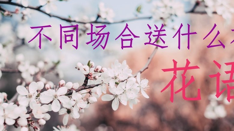 套现花呗有手续费吗安全吗