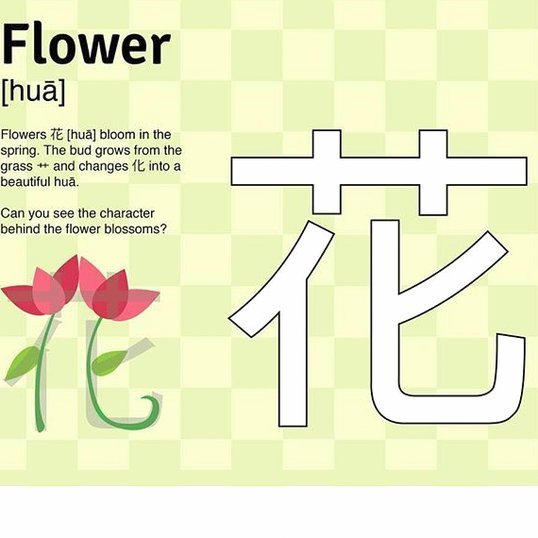 花呗合规性？如何有效举报
