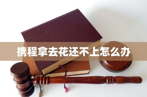 携程旅行拿去花怎么还款