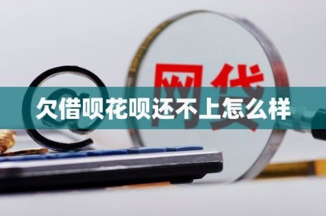 花呗怎么套用?