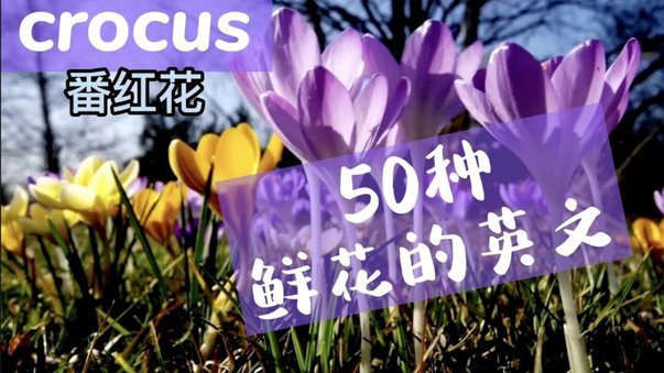 携程“先享后付”模式解读