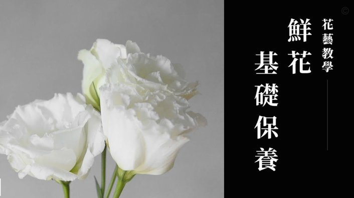 携程拿去花的额度