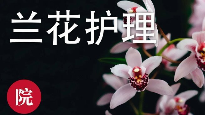 套现花呗的手续费