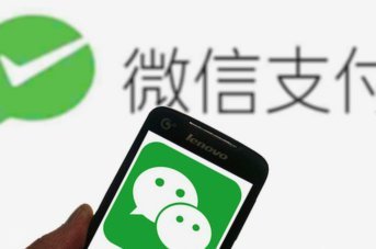 微信分付利息从哪查