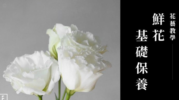 花呗套线会怎么样