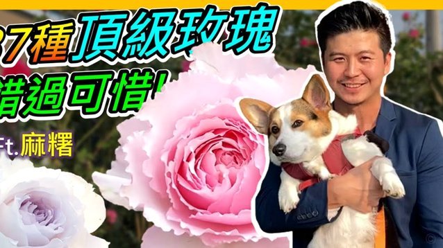携程：快速借款，轻松还款