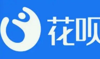 花呗现象：多平台探源析活法