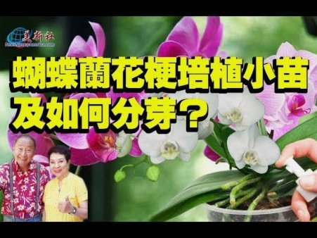 花呗提现背后的金融陷阱：这究竟是怎么回事？