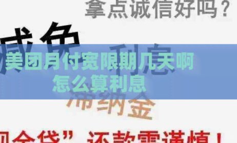 月付金额怎么算？揭秘隐藏成本