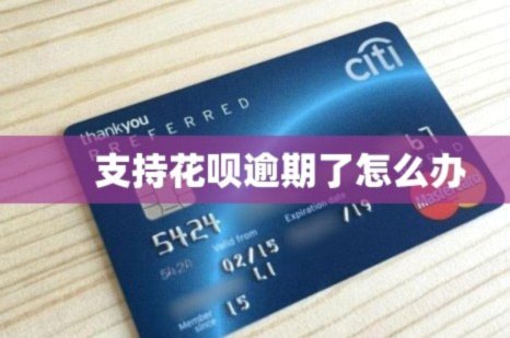 怎么知道商家支不支持花呗付款
