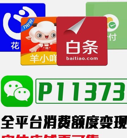 京东白条高效利用攻略