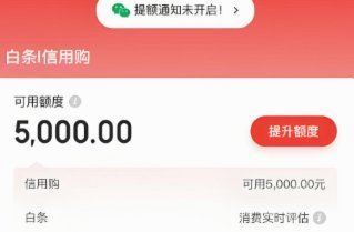 白条套现2021：技术手段与风控升级