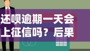 白条如何借现金还款