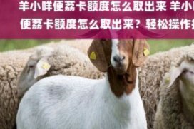 羊小咩额度攻略全掌握