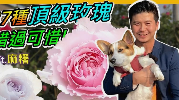 如何优雅地取消携程拿去花订单？
