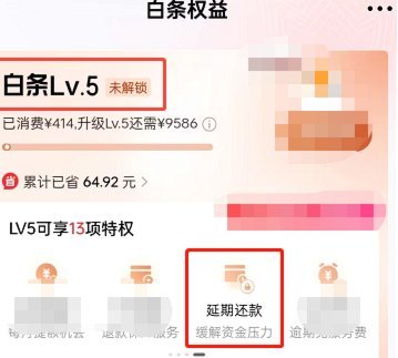 京东白条延期攻略解析