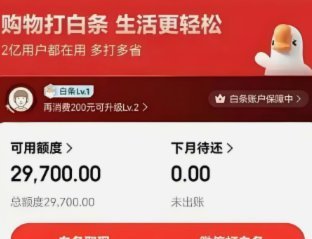 如何安全提升白条额度取现