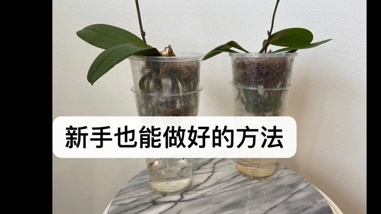 花呗现象 怎么解决