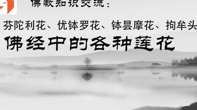 刷单式消费能否突破平台风控？