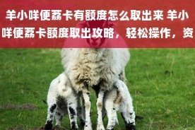 羊小咩怎么取出