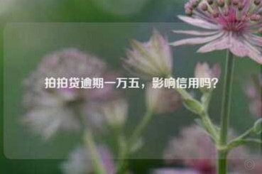 拍拍贷合法吗？利息多少？