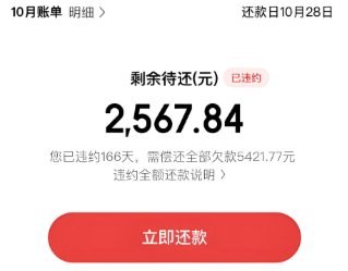 怎样在白条里借钱